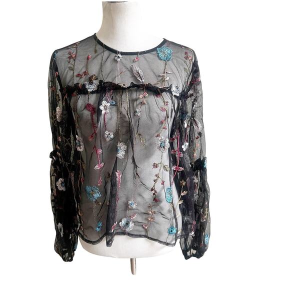 A New Day Sheer Mesh Peasant Top L Black Floral Embroidered Goth Whimsical - Picture 1 of 12